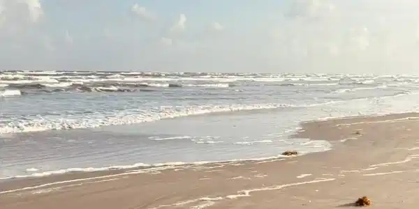 Image 2: Serene beach for your morning walks.