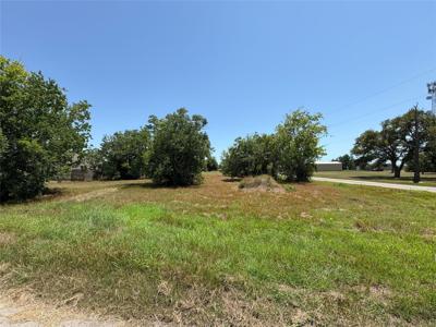 401 E Tres Palacios Avenue