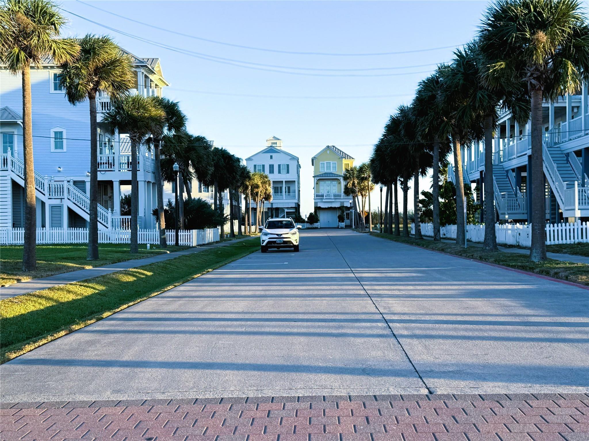 Image 3: STREET OF DREAMS