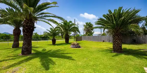 1051 Pompano Drive