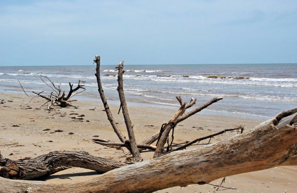 Image 4: Enjoy a day at the beach
