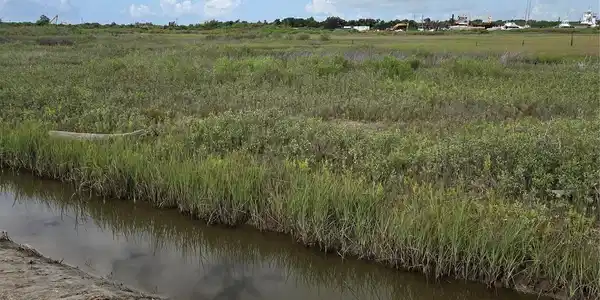 Image 3: 4,300 square feet of prime land for sale&mdash;the perfe