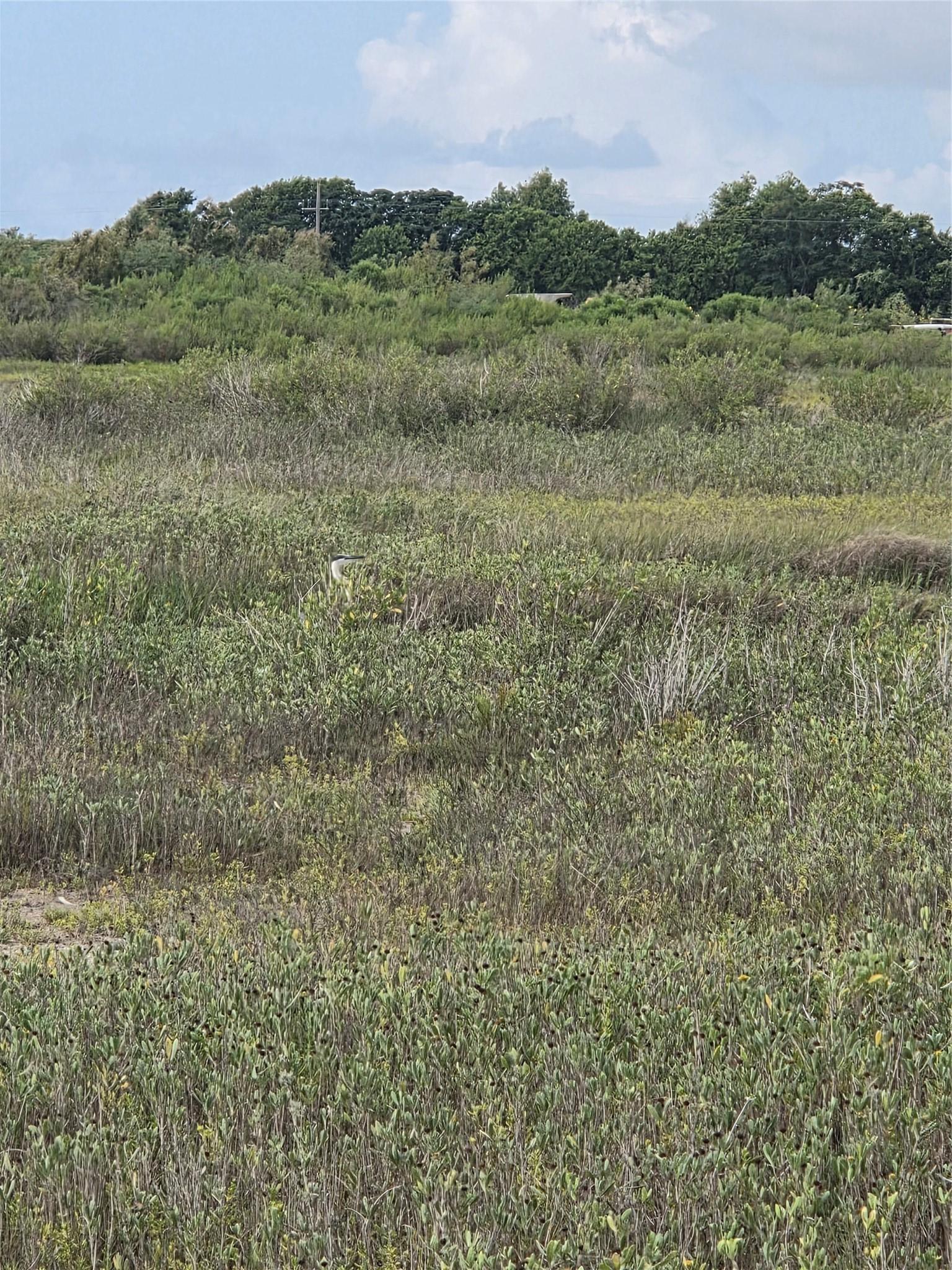 Image 4: This lot is ready for your vision.