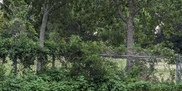 Image 2: 4 Wooded Lots