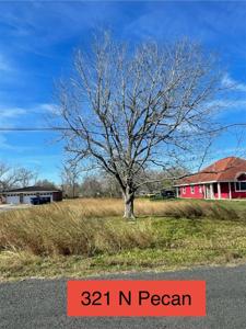 321 N Pecan Drive