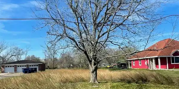 321 N Pecan Drive
