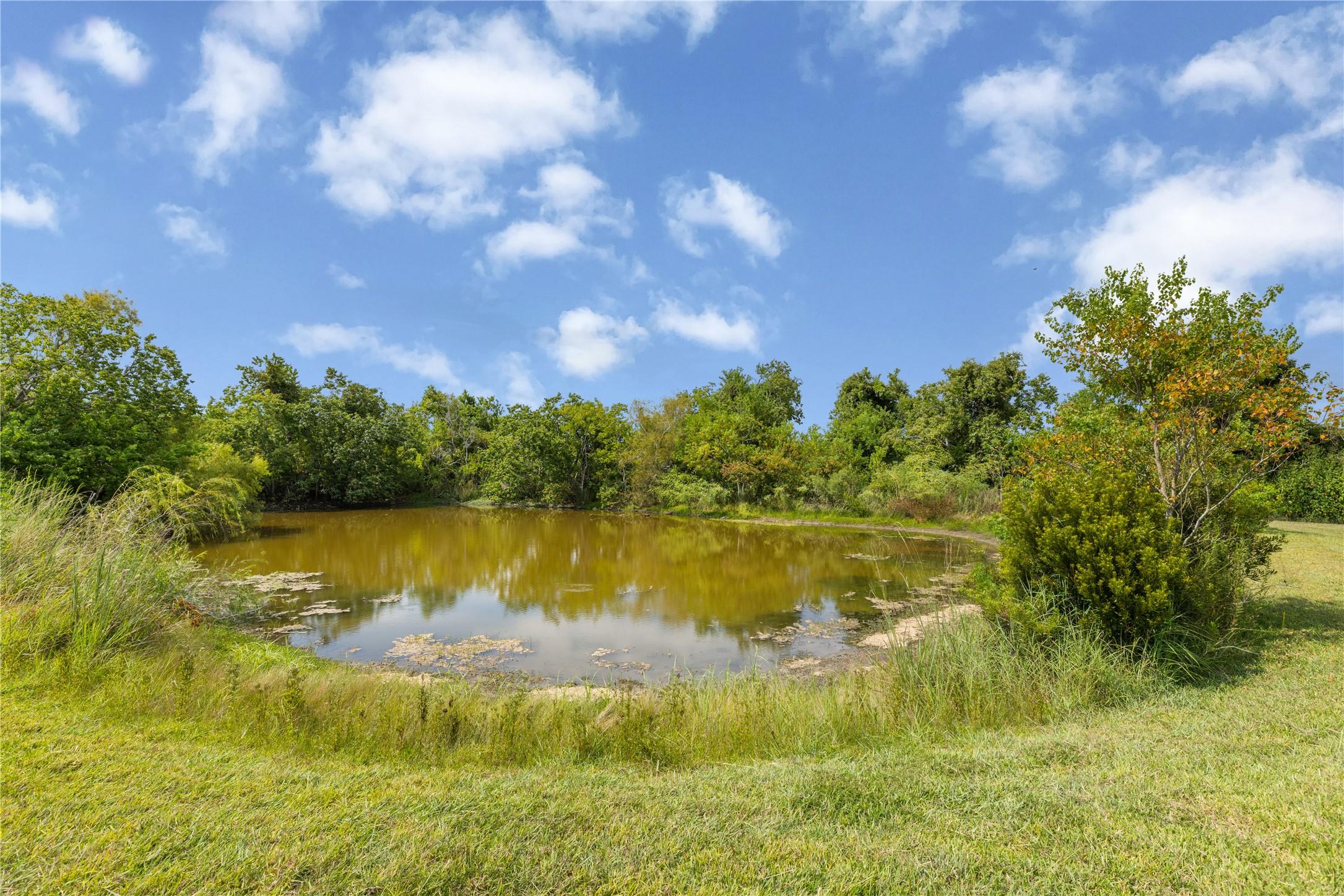 Image 3: Private pond on property!