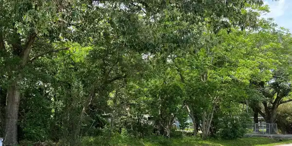 00 Red Bluff Road
