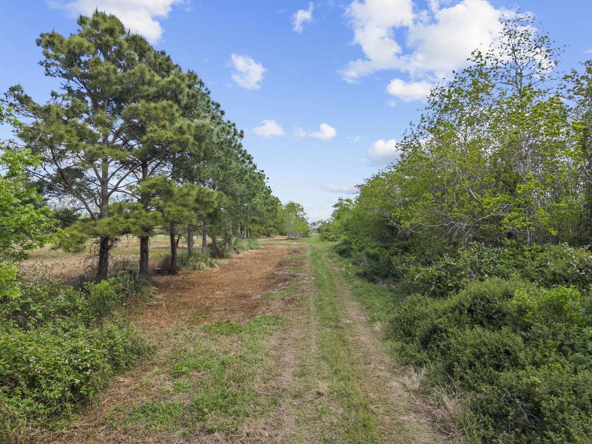 Image 2: Entering the property through the gate.