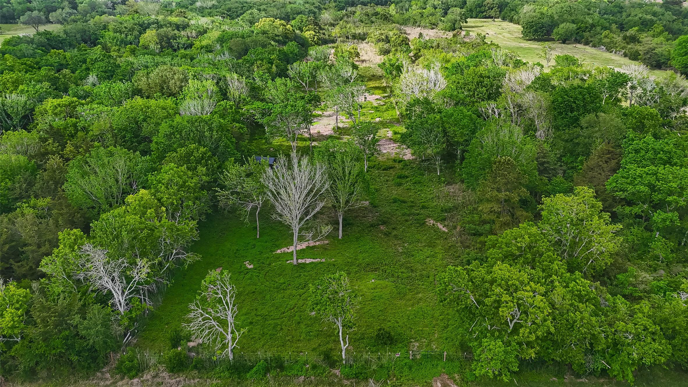 Image 2: It's partially cleared; this quiet location has ro