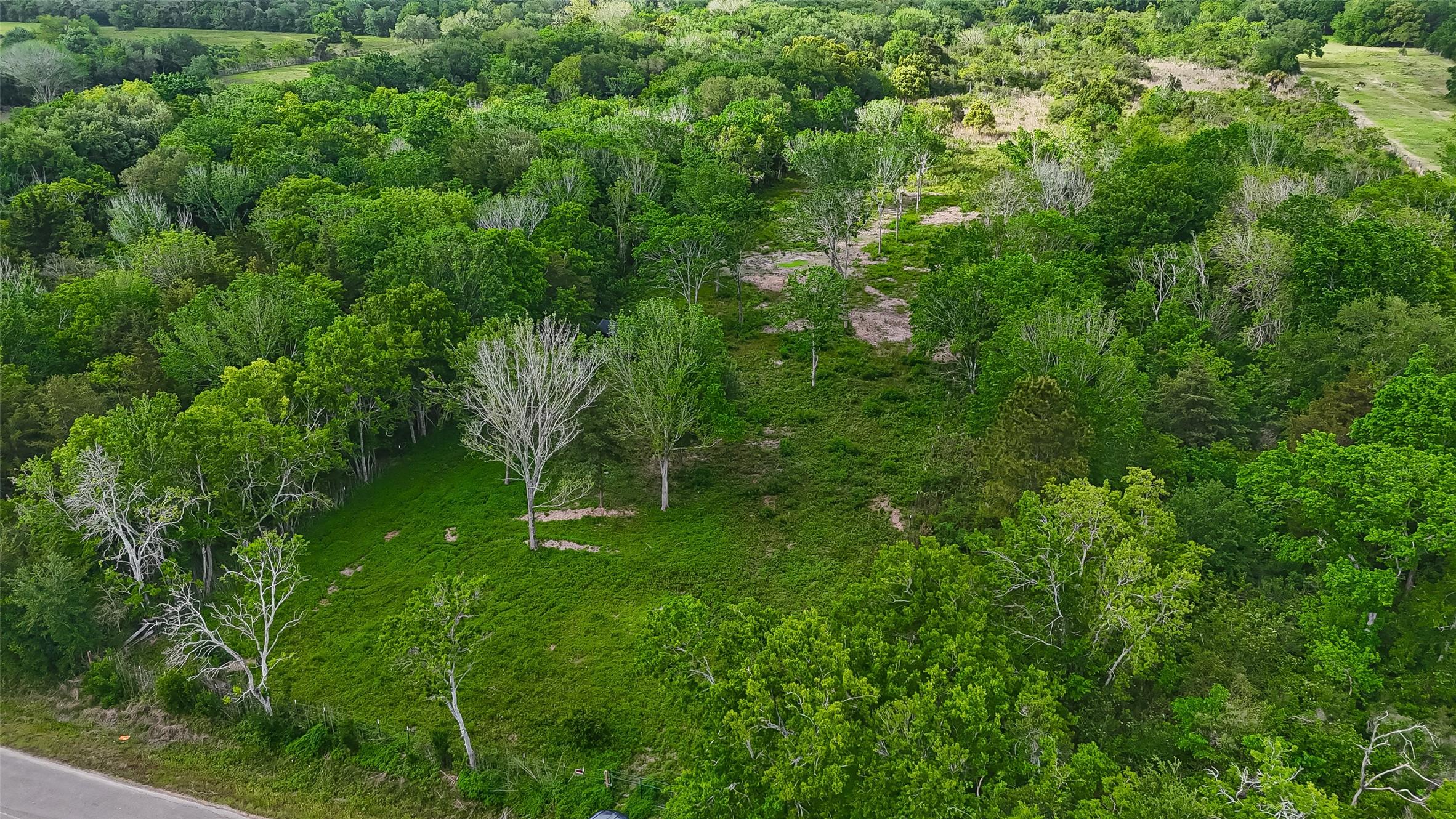 Image 4: In this view you can see it, wide, open land with