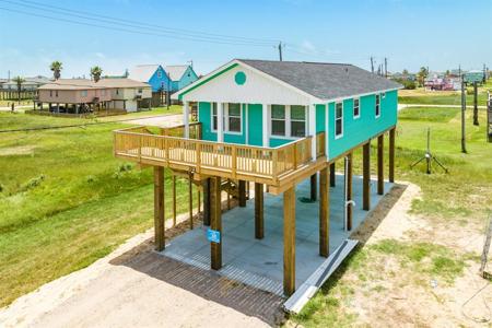 323 Sea Bean