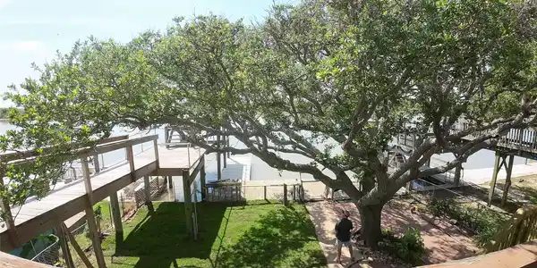 Image 3: View through the trees from upstairs balcony deck