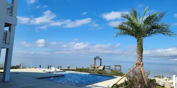 Image 4: Backyard pool