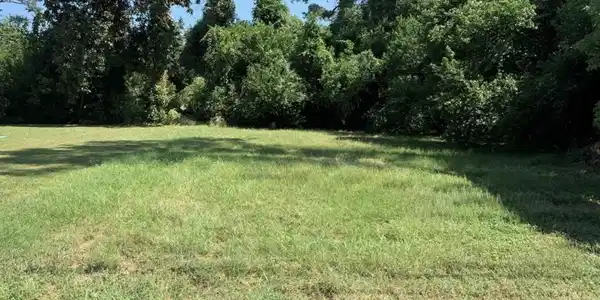 Image 2: A close view of your new land.