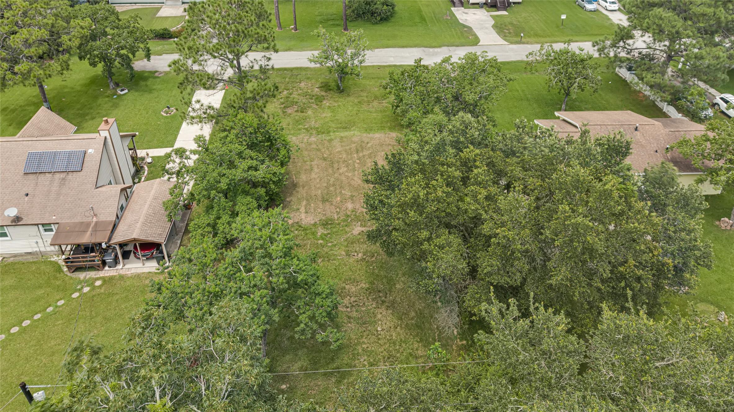 Image 3: Expansive, lush lot surrounded by mature trees, of