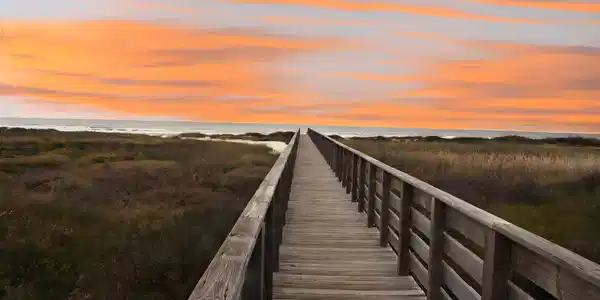 Image 2: Neighborhood dune walk-overs make beach access a b