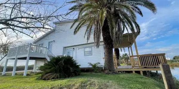 Image 3: Several mature palm trees!