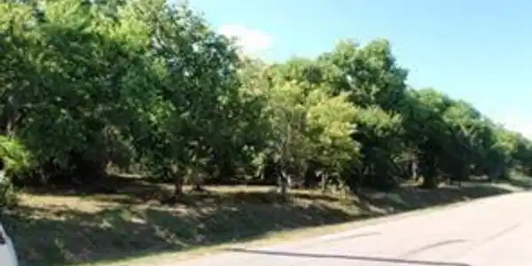 LOT 3 Duncan Drive