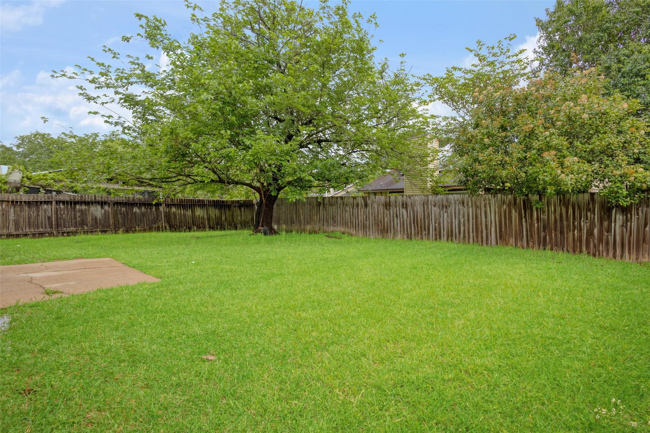 Image 2: BIG BACKYARD
