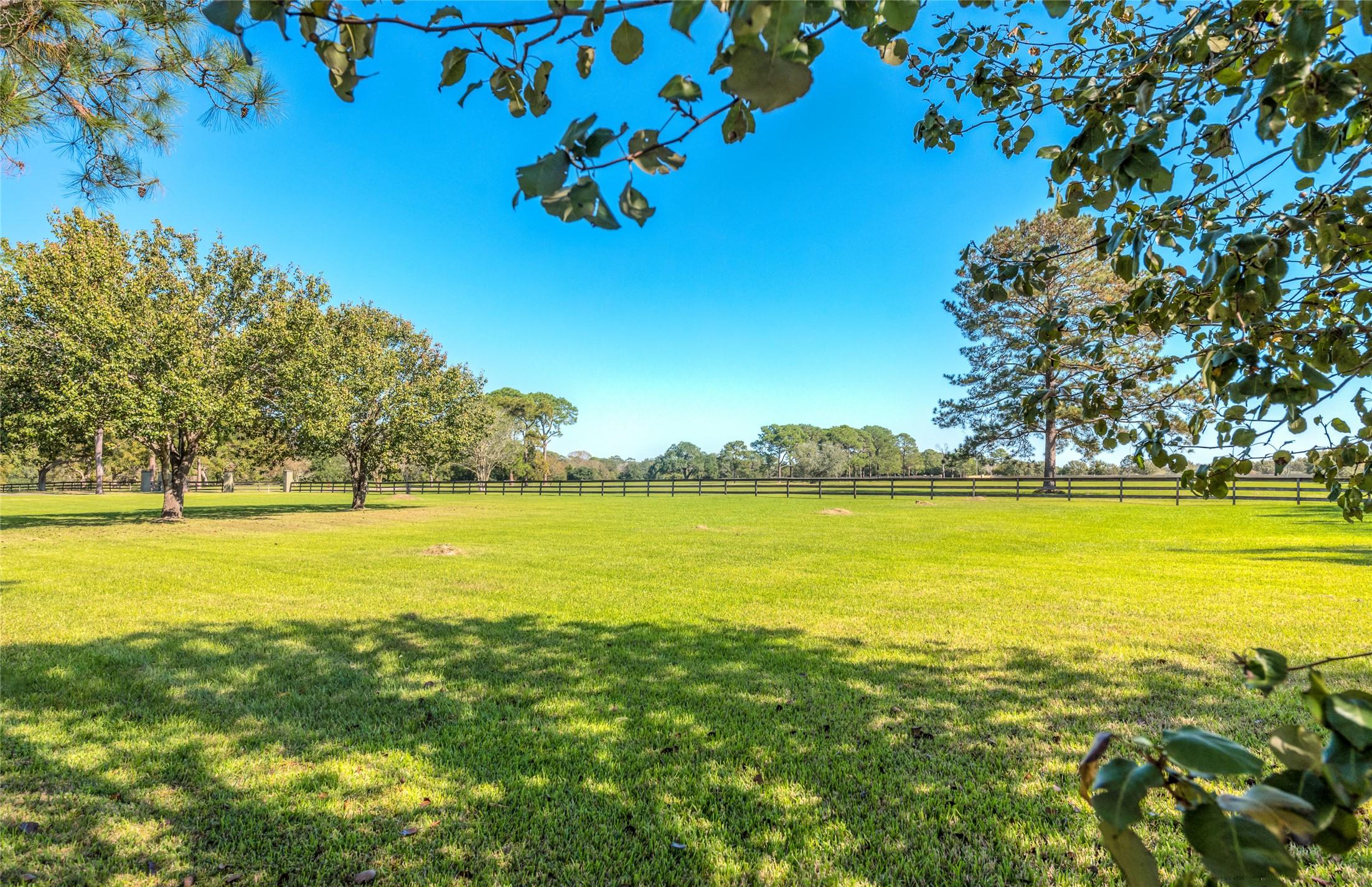 Image 3: Heavily wooded land with beautiful, mature oak, pa