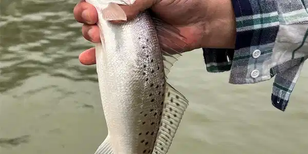 Image 3: Great fishing from your own backyard