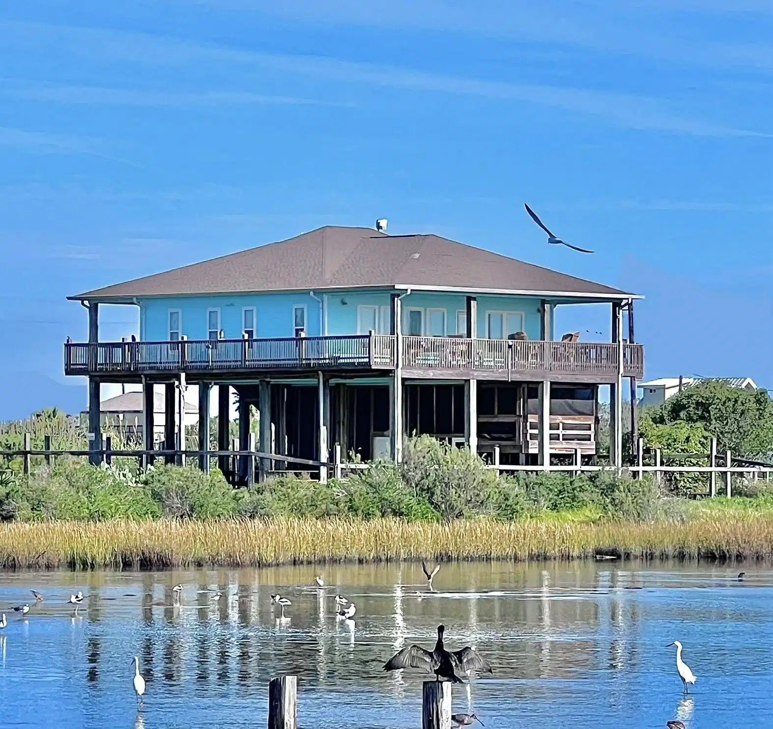 Image 1: Gulf Pelican Villa