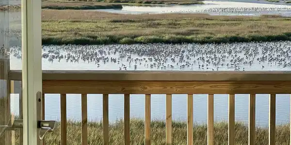 Image 3: Imagine Waking up to this view!
