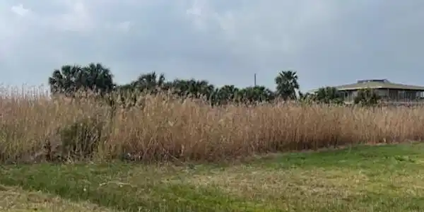 33 Lot 33 Palm Beach