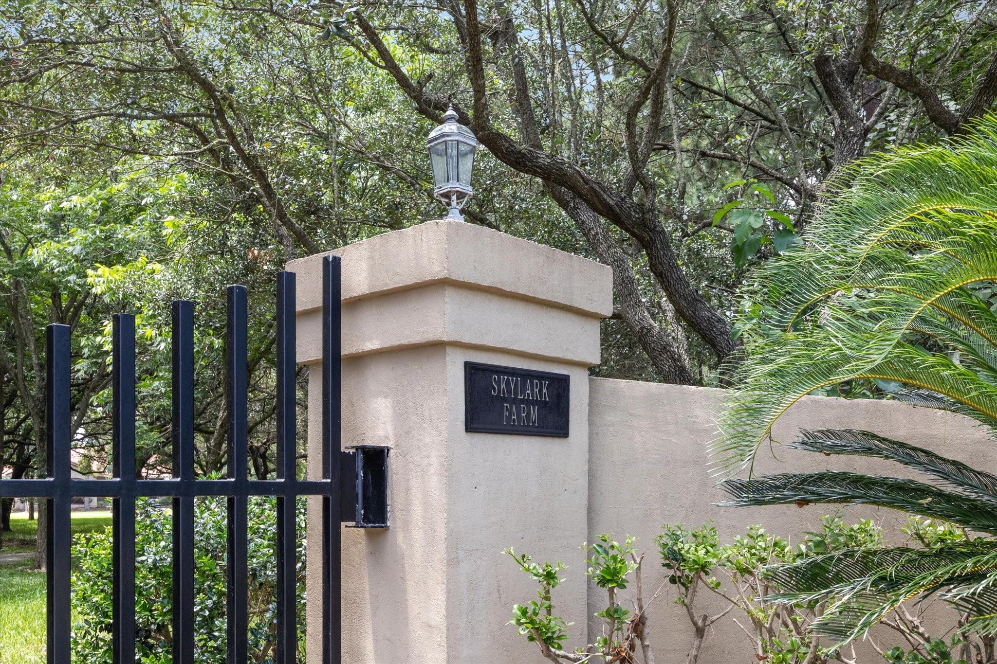 Image 4: Custom iron automatic gate provides security and p