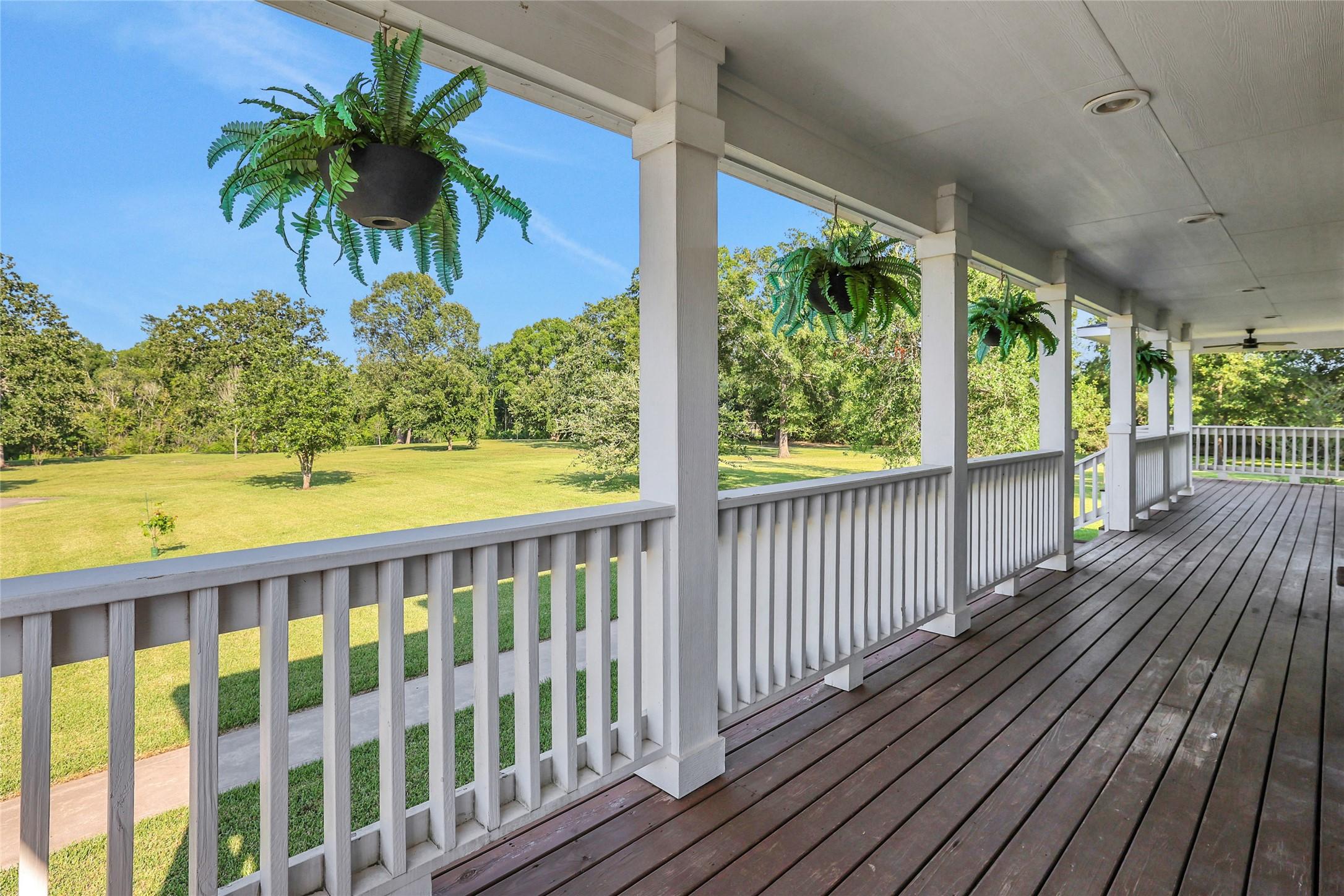 Image 4: Looking out the front of the home, towards acreage