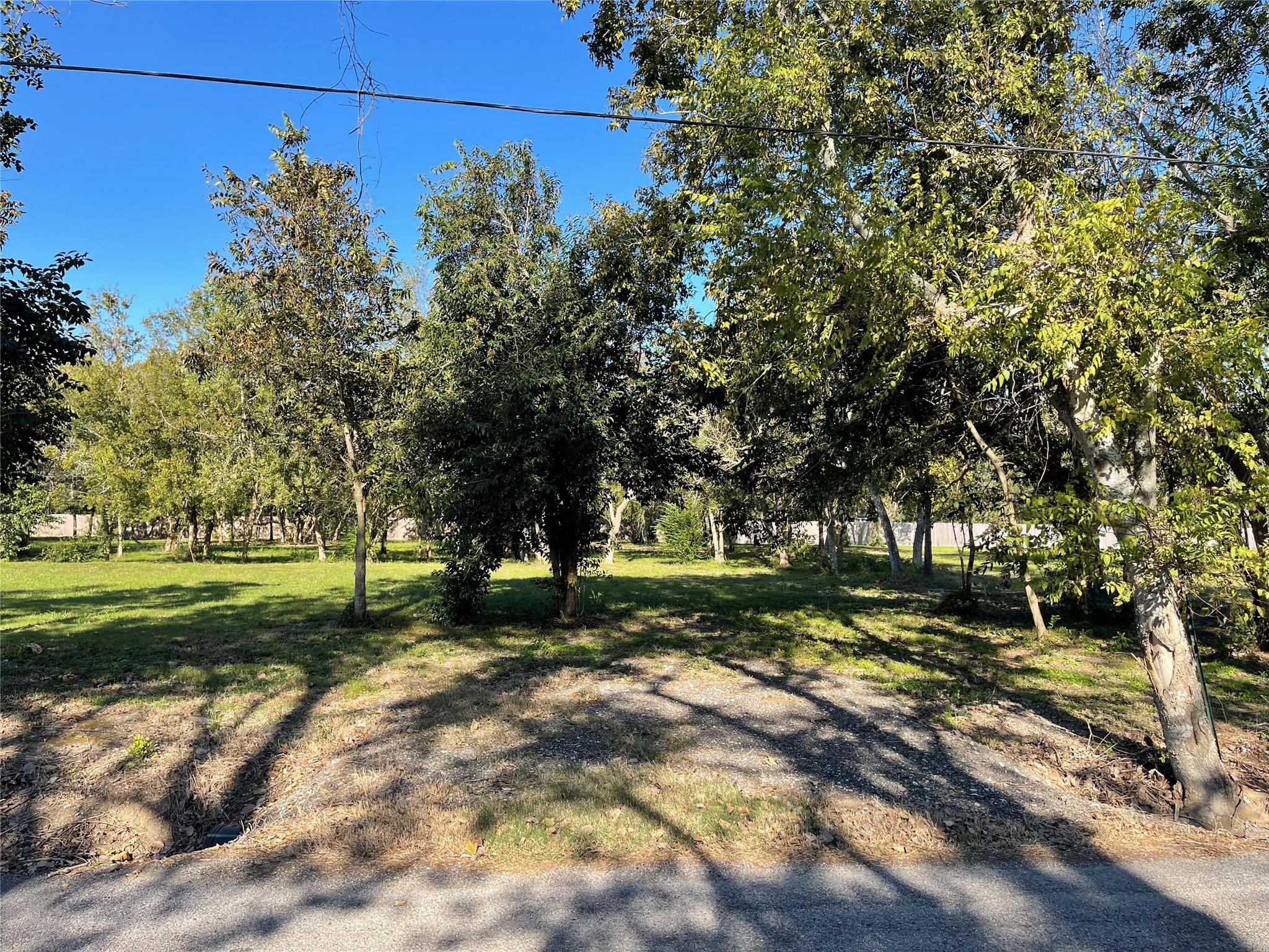 Image 3: Street view of lot 5.
