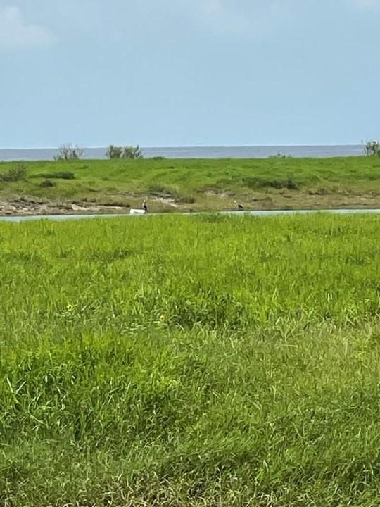 Image 2: Lot - water view