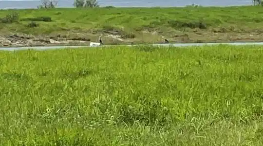 Image 2: Lot - water view