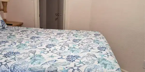 Image 4: And a walk in closet