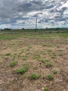 2113 CR 299 Heron Rd