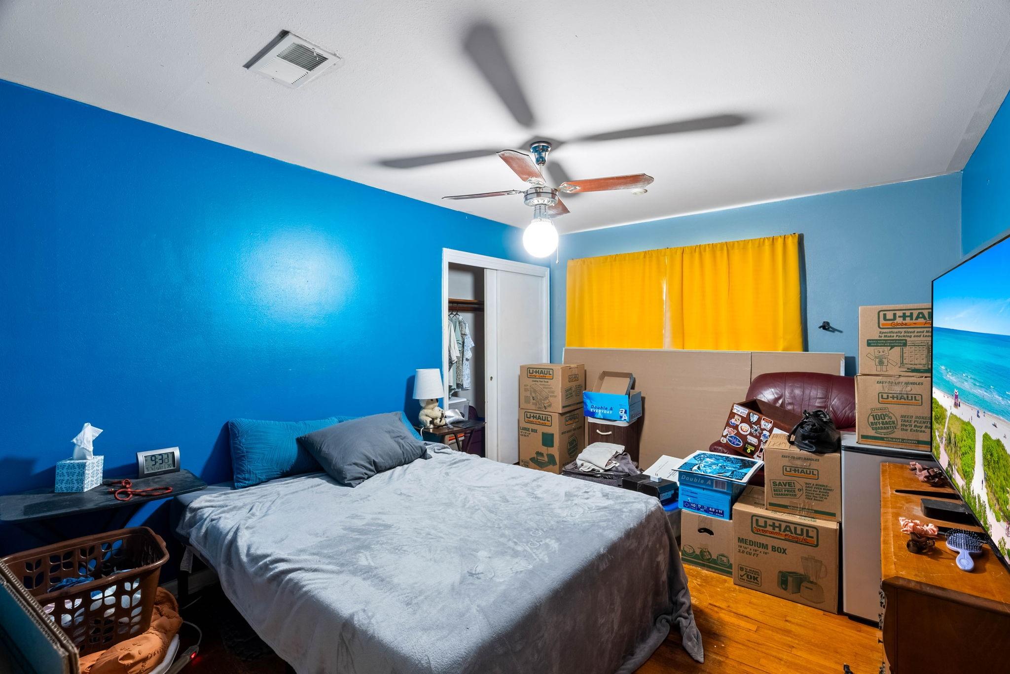 Image 4: Bedroom featuring vibrant blue walls, a ceiling fa