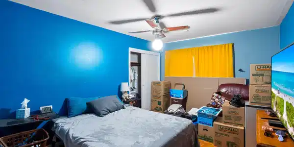 Image 4: Bedroom featuring vibrant blue walls, a ceiling fa