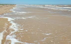 Image 4: Coastal Paradise Awaits