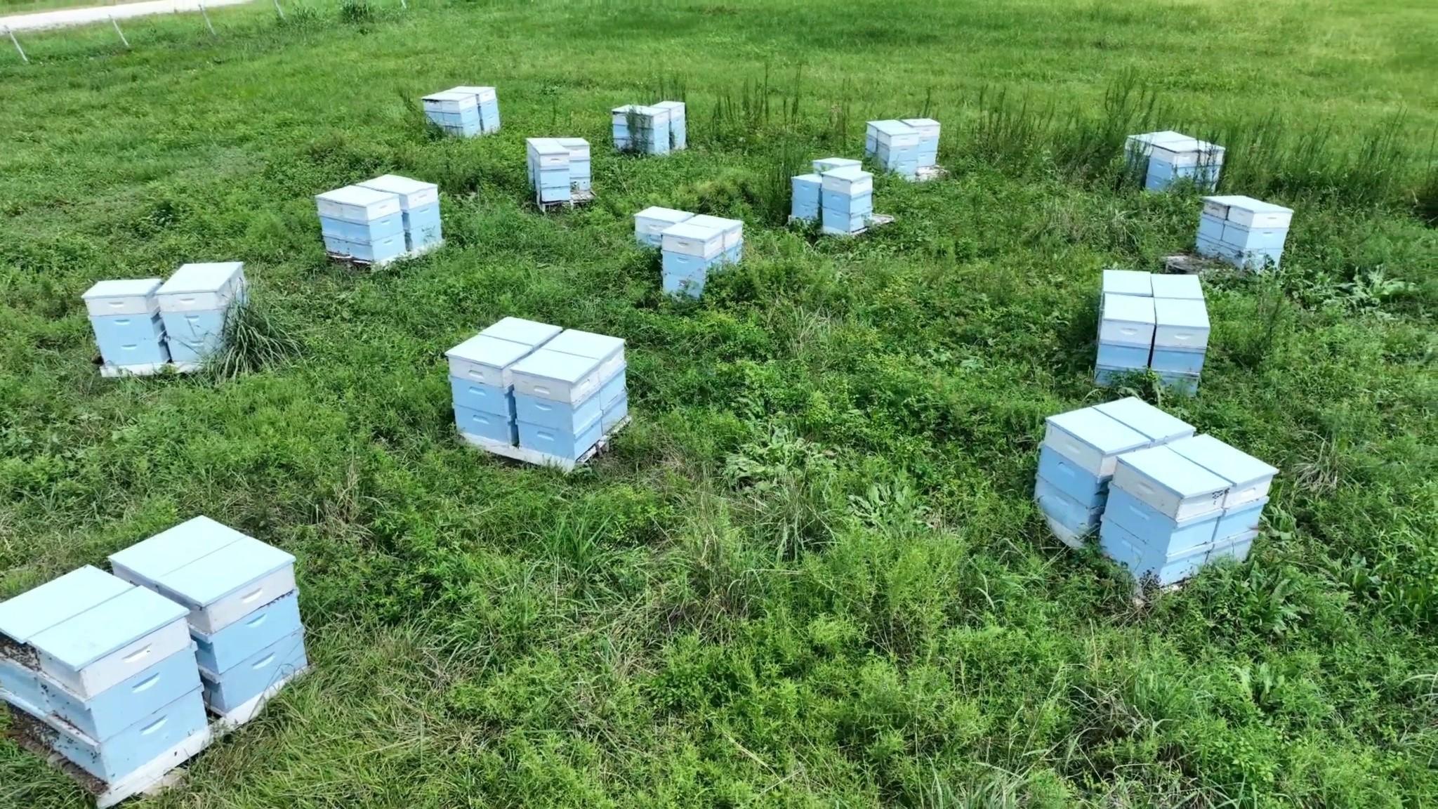 Image 3: Over 10 acres of unrestricted land in Anahuac, TX