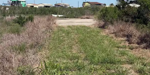 Image 2: Driveway