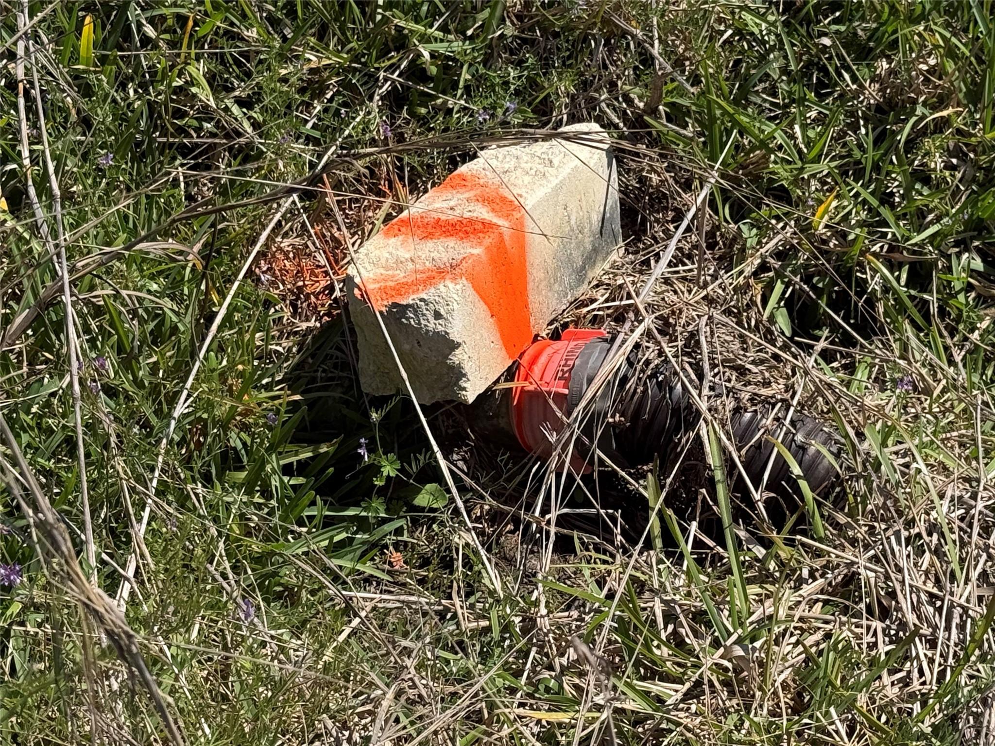 Image 4: Sewer
