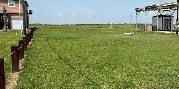 Image 4: Southern property line facing West toward creek.