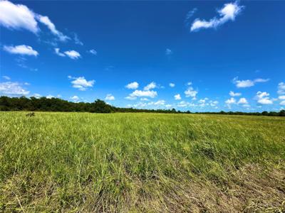 2101 W Bayshore Road