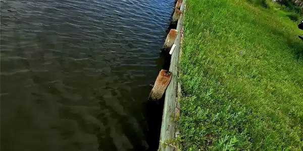 Image 4: Enjoy direct canal frontage with bulkhead already