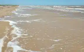Image 4: Coastal Paradise Awaits