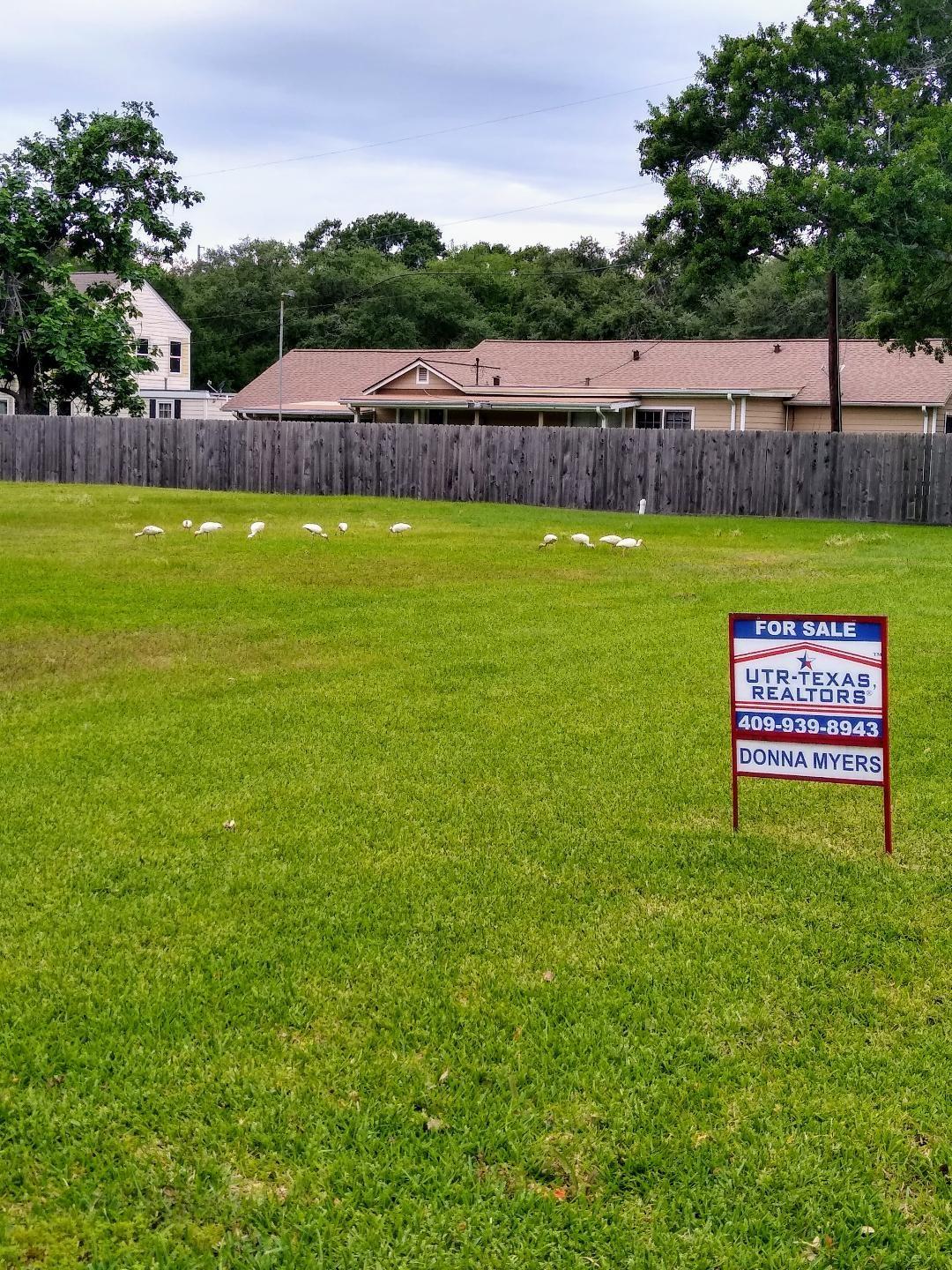 Image 4: YES IT'S FOR SALE!!!