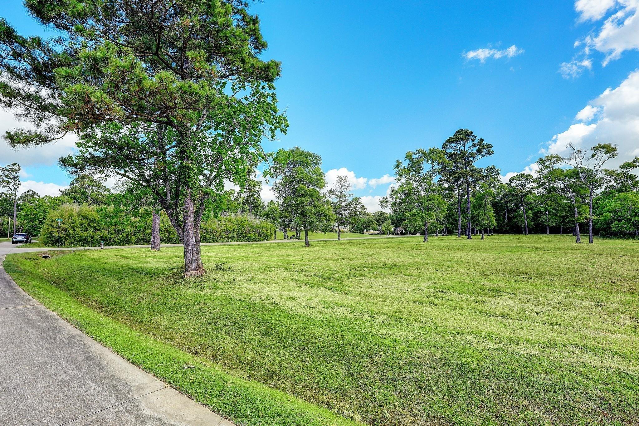 Image 4: Street View From S Country Club Across Lot 19 Towa