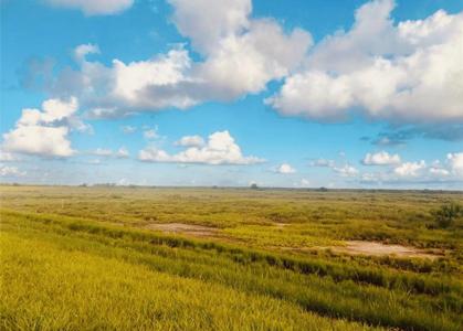 0-4.988 acres FM 2918 RD