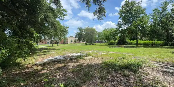 Image 4: View from the back of the property.
